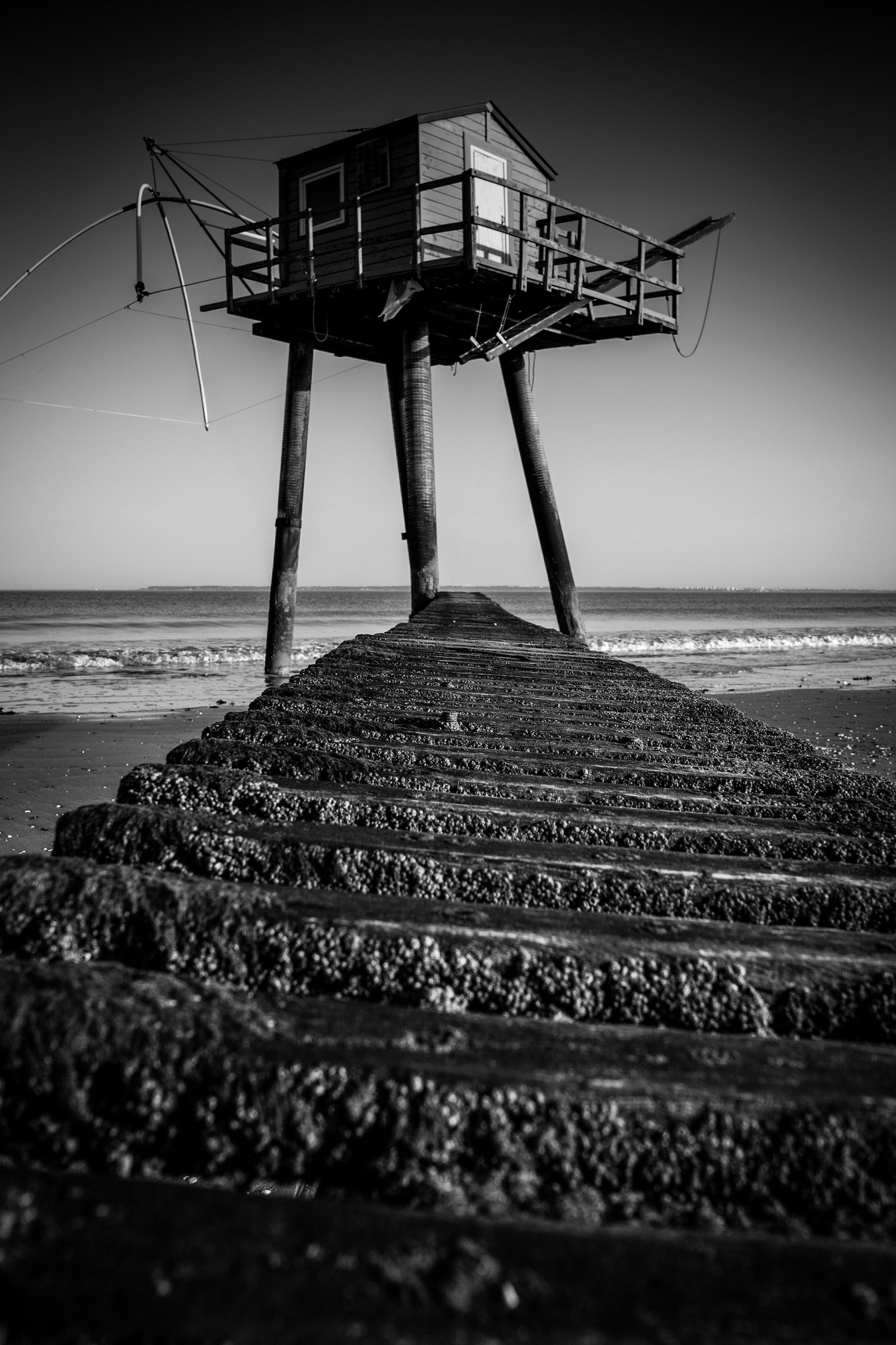 Sentinel — fine art print by Déaghán Ó Dálaigh