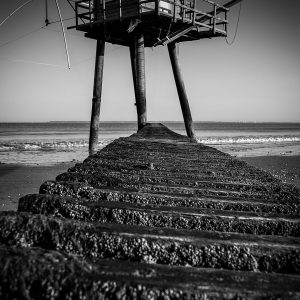 Sentinel