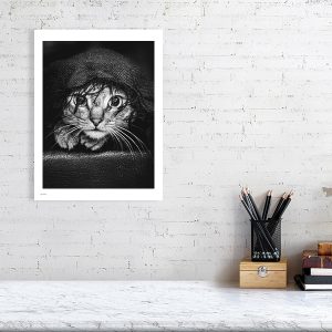 Chara-beag - 30cm x 40cm, 11.8inches x 15.8inches, Print only